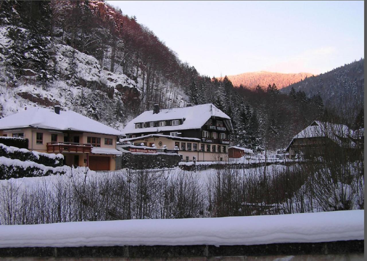 Hotel Waldeck In ทอดท์เนา ภายนอก รูปภาพ